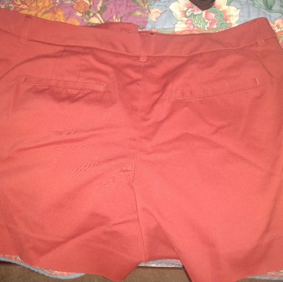 Short Shorts - Picture 5 of 5